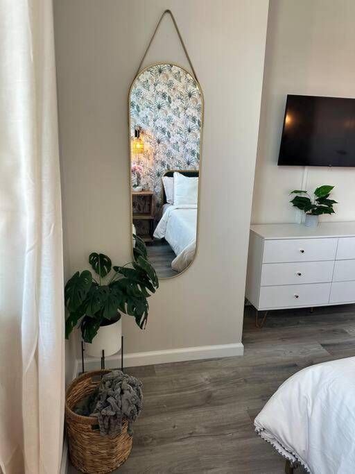 Apartment Haven, Walk To Little Italy & Wooster Square