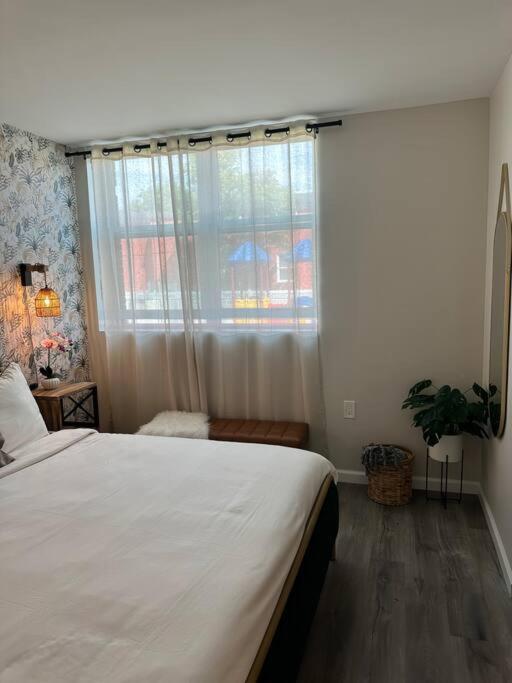 Haven, Walk To Little Italy & Wooster Square Apartment